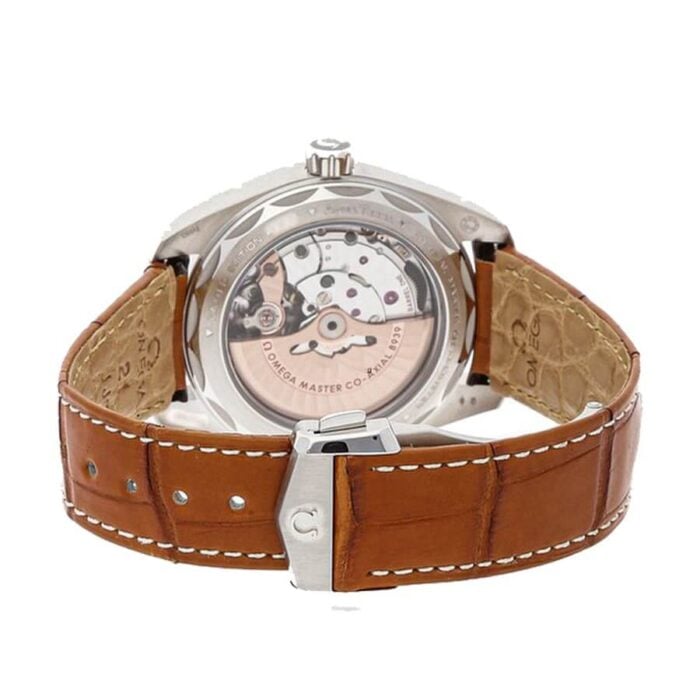 Omega Seamaster Aqua Terra Worldtimer Co-Axial Master Chronometer 220.93.43.22.99.001 Premium Copy 1:1